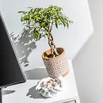 شقة Golden Coast بورتيماو