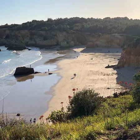 Golden Coast Appartamento *